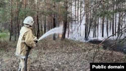 Абай облысындағы орман өрті. Төтенше жағдайлар министрлігінің суреті.