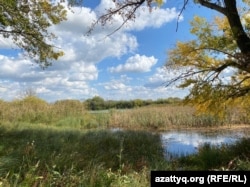 Ауыл халқы су алатын шағын өзен. Павлодар облысы Еңбек ауылы, 22 қыркүйек, 2023 жыл.