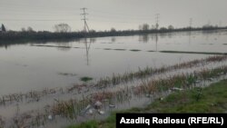 Əkin sahələri su altında qalıb