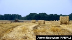 Уборка зерновых в Новосибирской области