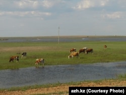 Көптоғай ауылы. Сурет azh.kz сайтынан алынған.