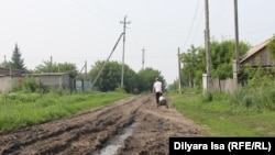 Мамлют ауданындағы Покровка ауылы. Солтүстік Қазақстан облысы, 23 шілде, 2016 жыл. Азаттық архивіндегі фото.