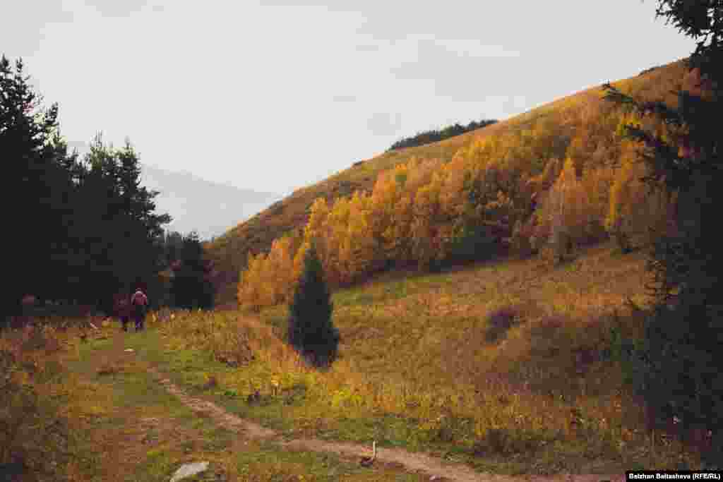 Таудың күзгі көрінісі.