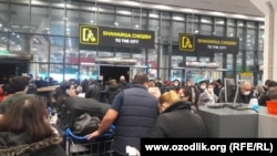 Toshkent Xalqaro aeroportida PZR-test topshirish uchun tartibsiz navbat