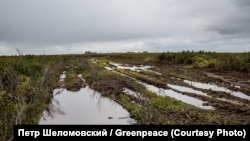 Дорога в тундре, полуостров Таймыр, сентябрь 2016